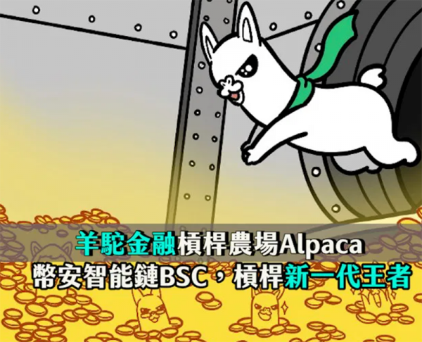 BSC幣安智能鏈| 槓桿農場新一代王者羊駝金融Alpaca,收益原理是什麼?