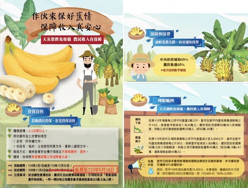 香蕉收入保險投保5/14止     請農民把握時間向當地農會投保／波新聞
