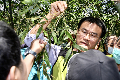 農委會主委陳吉仲視察綠竹筍　呼籲農民以管路灌溉設施抗旱／波新聞