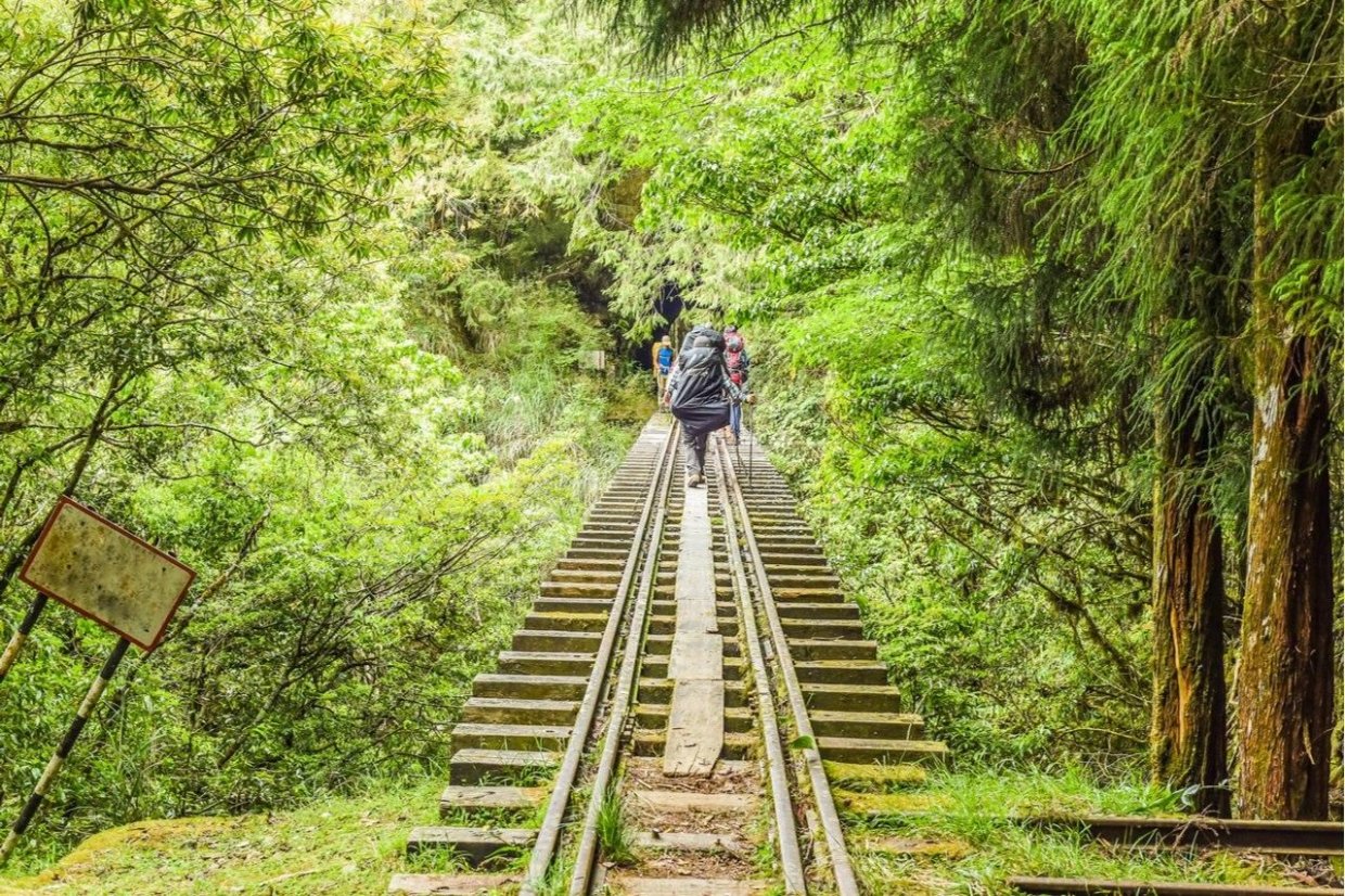 選這幾條登山健行路線就對了!超經典登山路線X景點 一路滿滿回憶殺