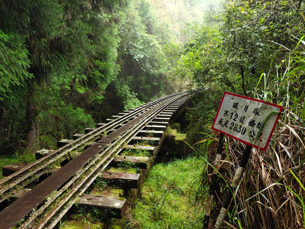 選這幾條登山健行路線就對了!超經典登山路線X景點 一路滿滿回憶殺