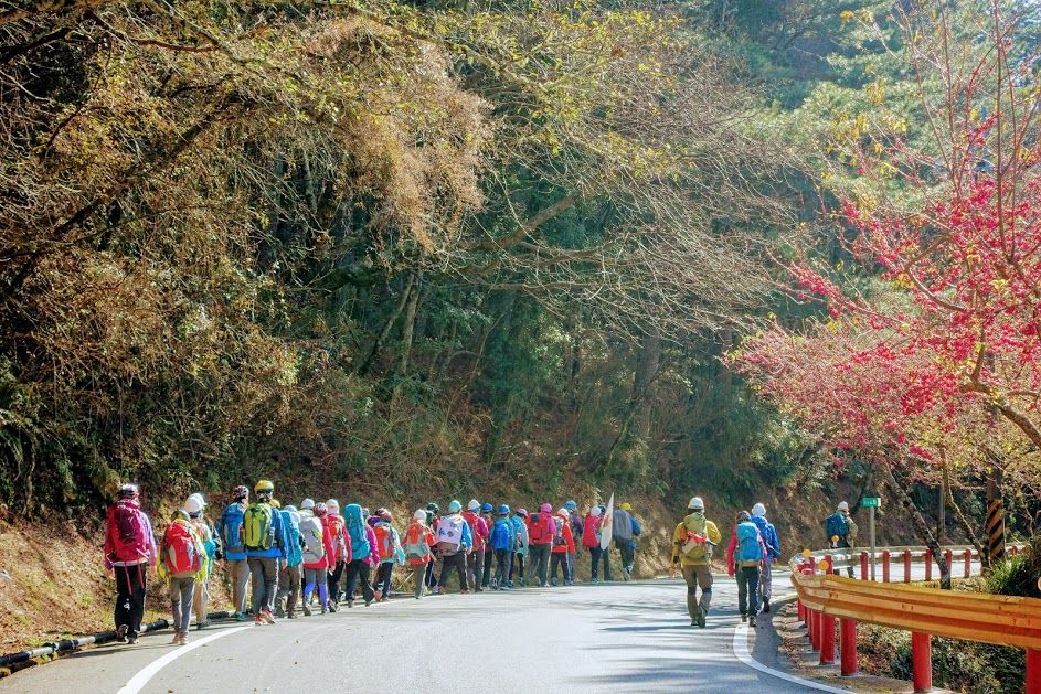 選這幾條登山健行路線就對了!超經典登山路線X景點 一路滿滿回憶殺