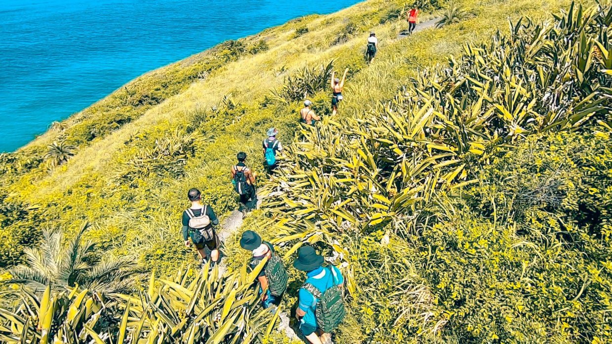 選這幾條登山健行路線就對了!超經典登山路線X景點 一路滿滿回憶殺