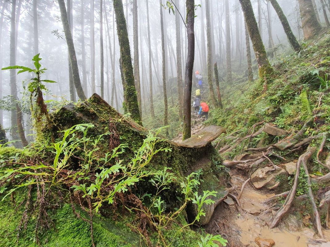 選這幾條登山健行路線就對了!超經典登山路線X景點 一路滿滿回憶殺