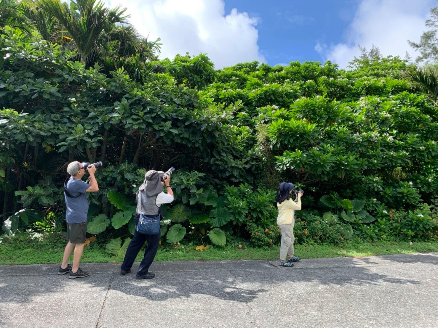 可能是一或多人、大家站著、戶外和樹的圖像