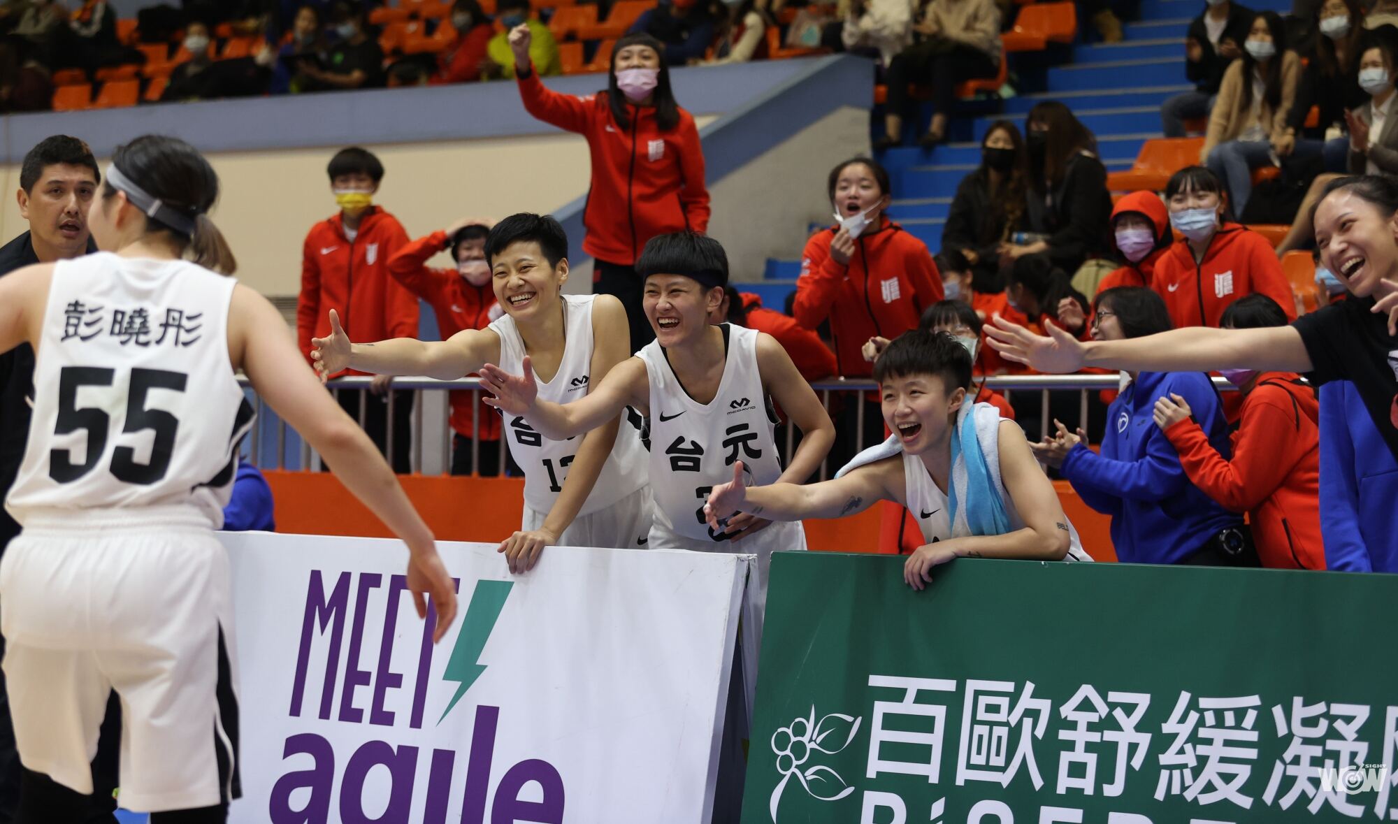 《WSBL》新人五小福 助台元女籃一臂之力