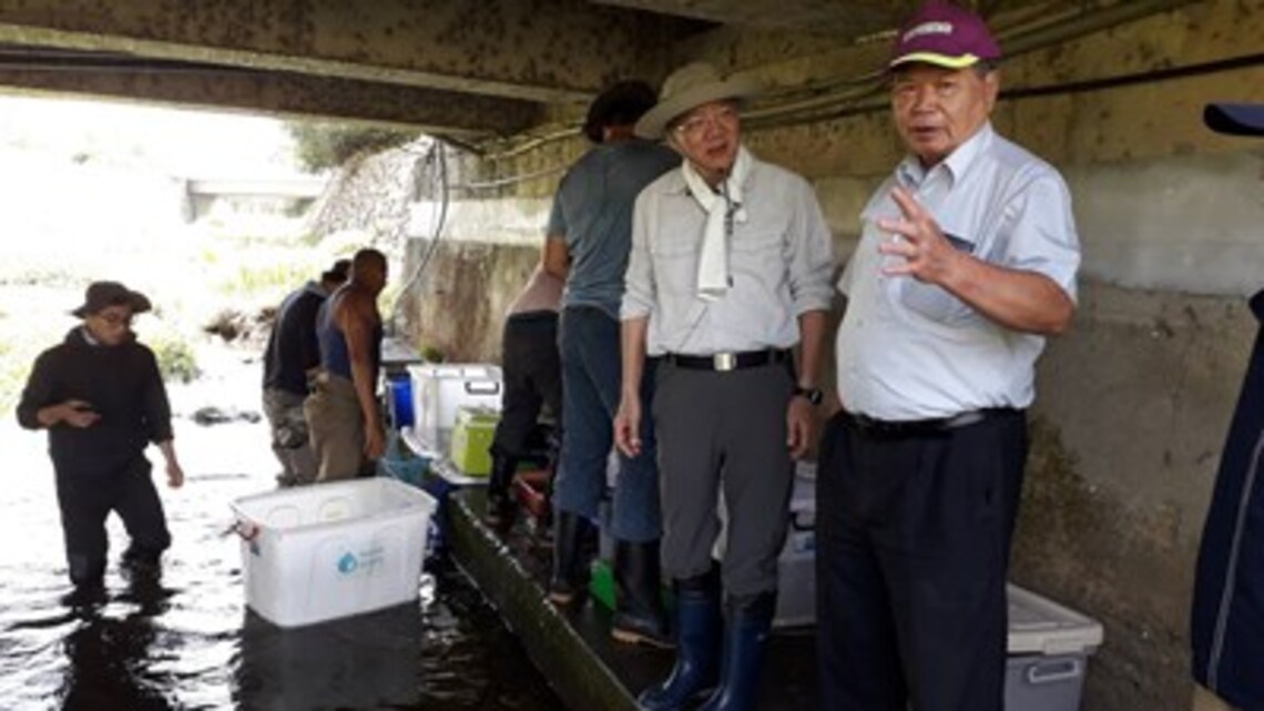 救援台灣稀有保育類 中市府移地保種30尾台灣白魚/波新聞