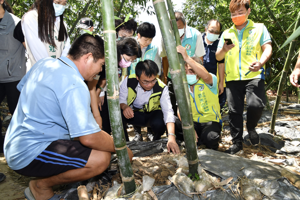 臺南白河區綠竹筍高溫乾旱災損 列農業天然災害現金救助及低利貸款地區/波新聞