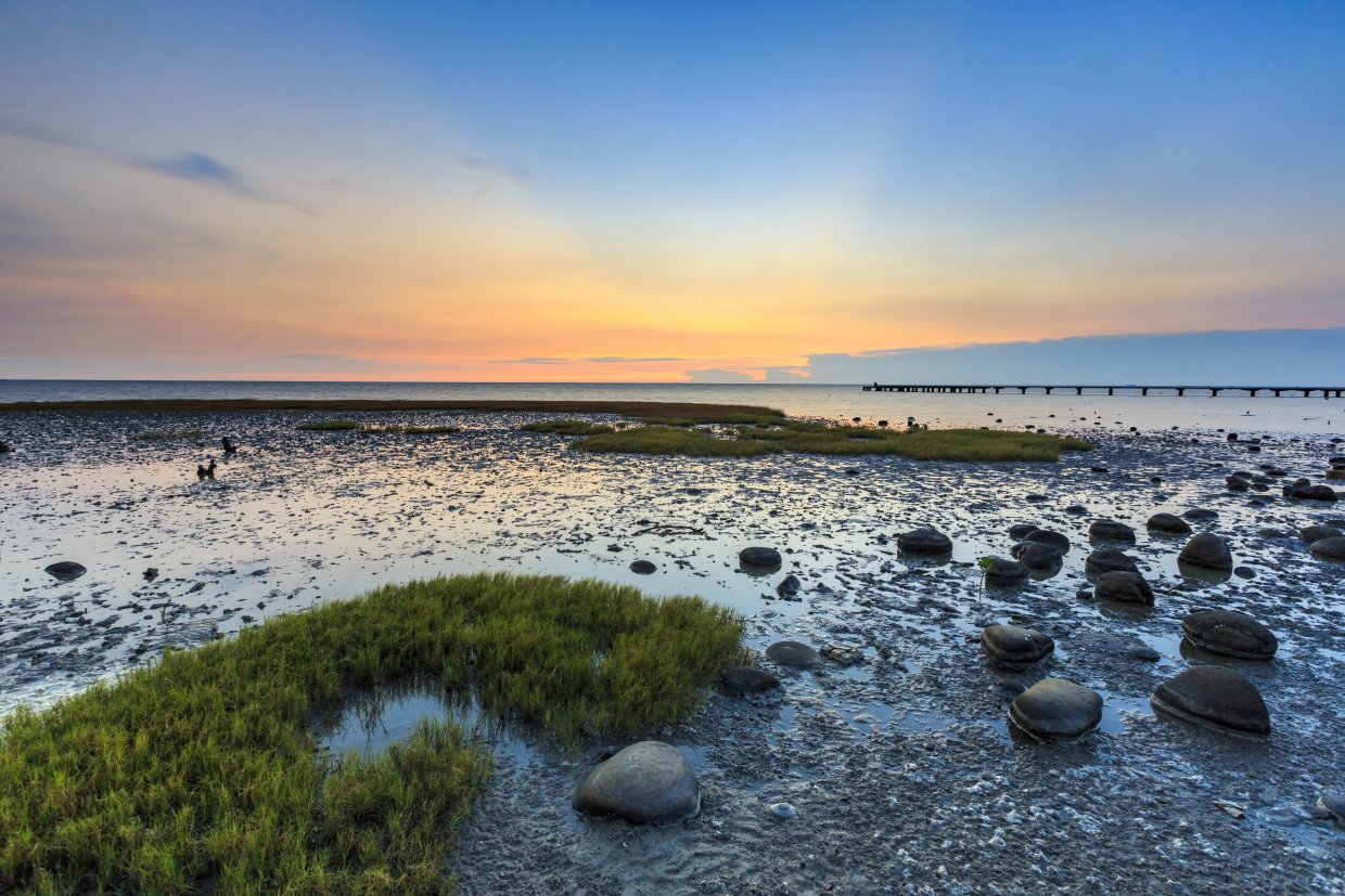 Sunset,In,Siangshan,Wetland,,Hsinchu,,Taiwan