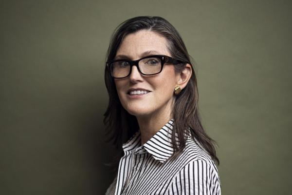 比特幣|方舟投資Cathie Wood:我們在投降期,指標告訴我是買入時機