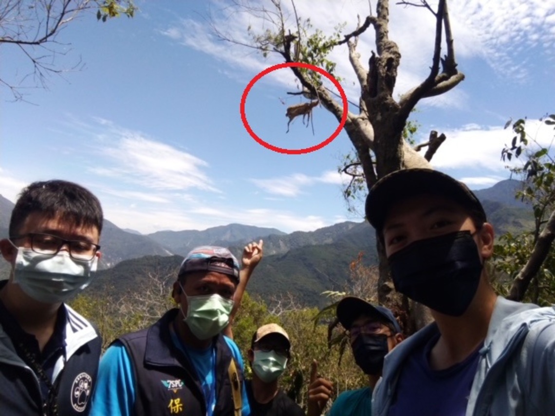 屏東山區驚見捕捉熊鷹陷阱 縣府保七聯手拆除/波新聞