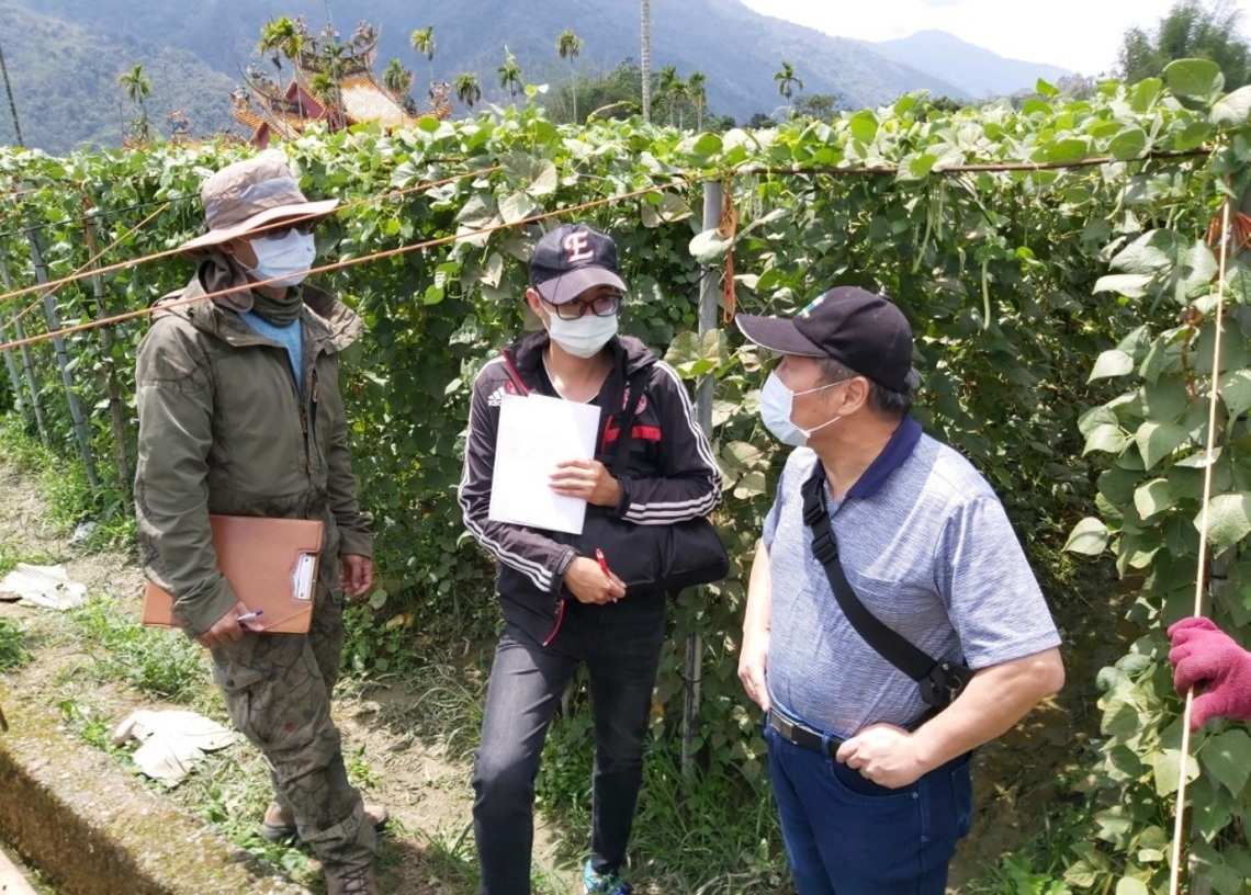 高雄4位植物醫師進駐產地 加倍把關農產安全/波新聞