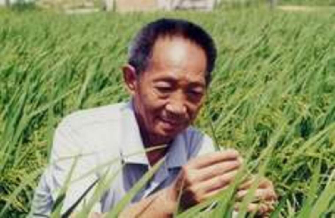 做人就要像一粒好種子--敬悼樸實的農業科學家袁隆平 /波新聞