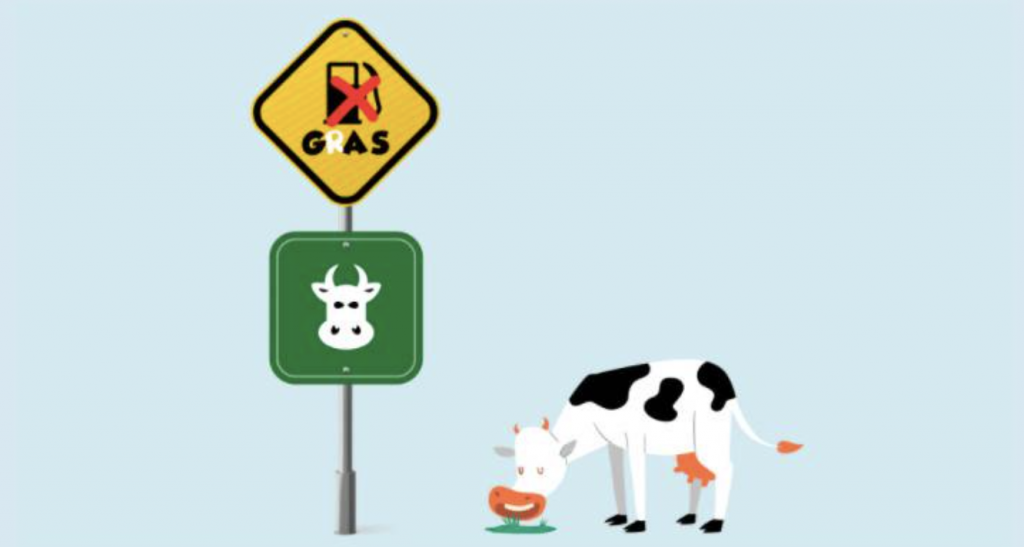 cowswap