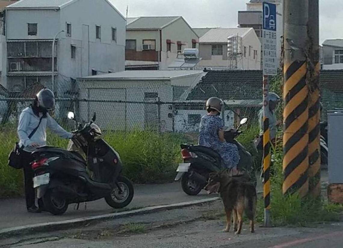 台南議會揭露寶可夢群聚/波新聞