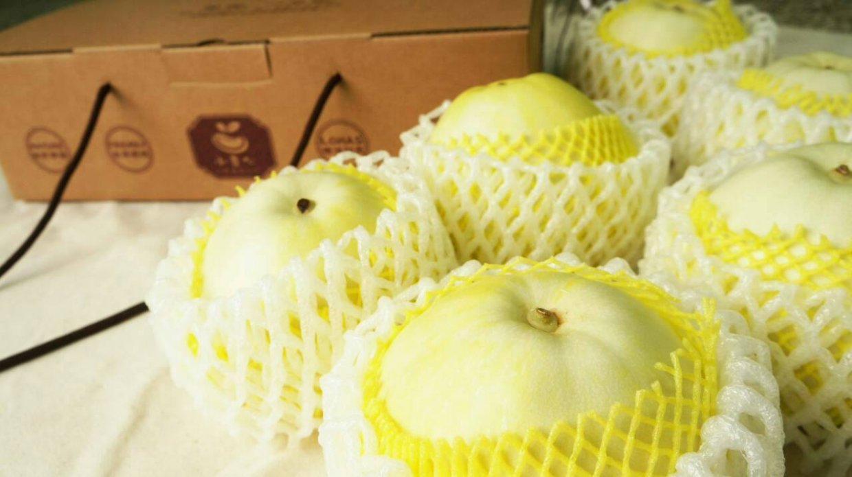 皮薄、不耐壓的美濃瓜，需要細心保存才不會碰傷
