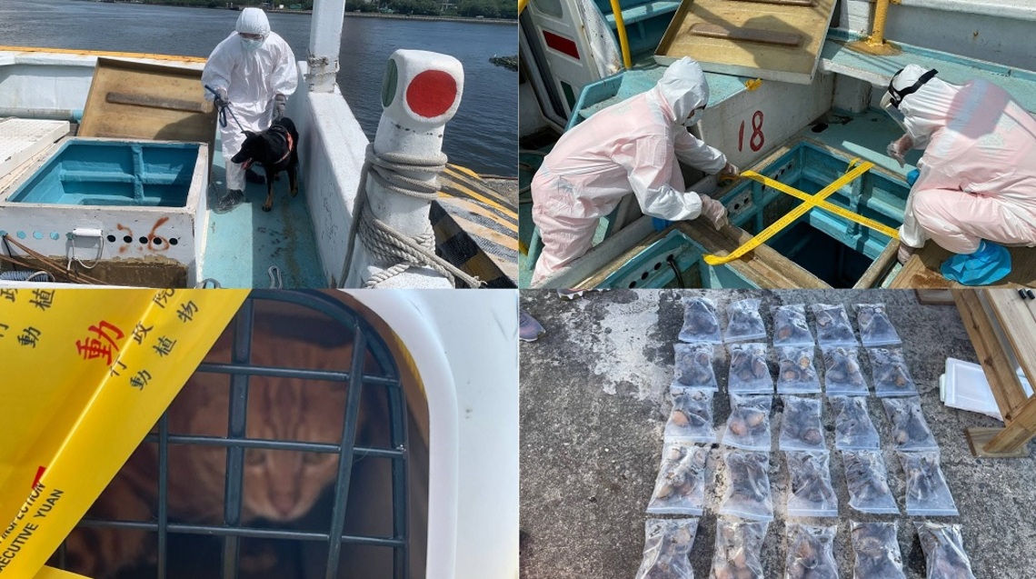 疫情嚴峻漁船走私   海巡成功攔截破口／波新聞