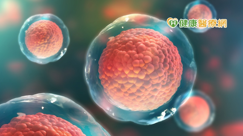 臍帶幹細胞療法新發現 新冠重症存活機會翻倍!