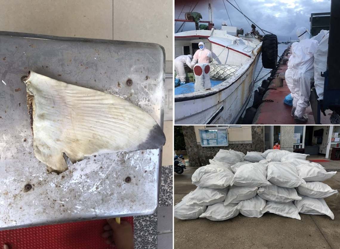 海巡破獲大量走私魚翅乾貨 守護國人健康不停歇/波新聞
