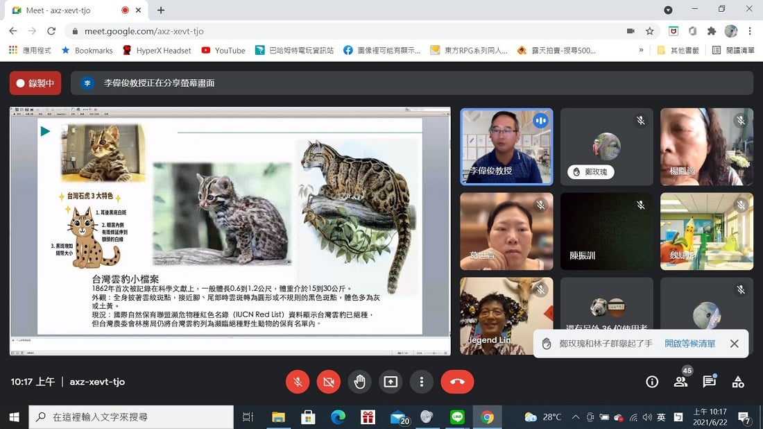 可能是 3 個人、大貓、貓和文字的圖像
