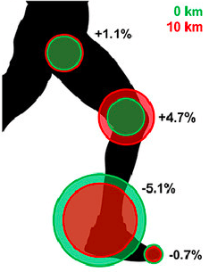 圖片來源:J Sport Health Sci.S2095-2546(20)30171-X. (2021)