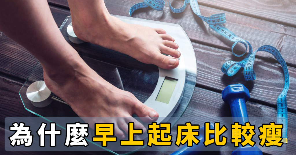 為何體重在早上起床比睡前少了半公斤以上?