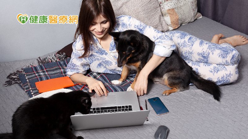躺著工作筋骨更痠痛 睡不著、背痛、效率低全部找上門