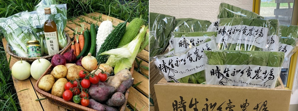 臺南推廣有機專區 下大雨不怕沒菜可吃/波新聞