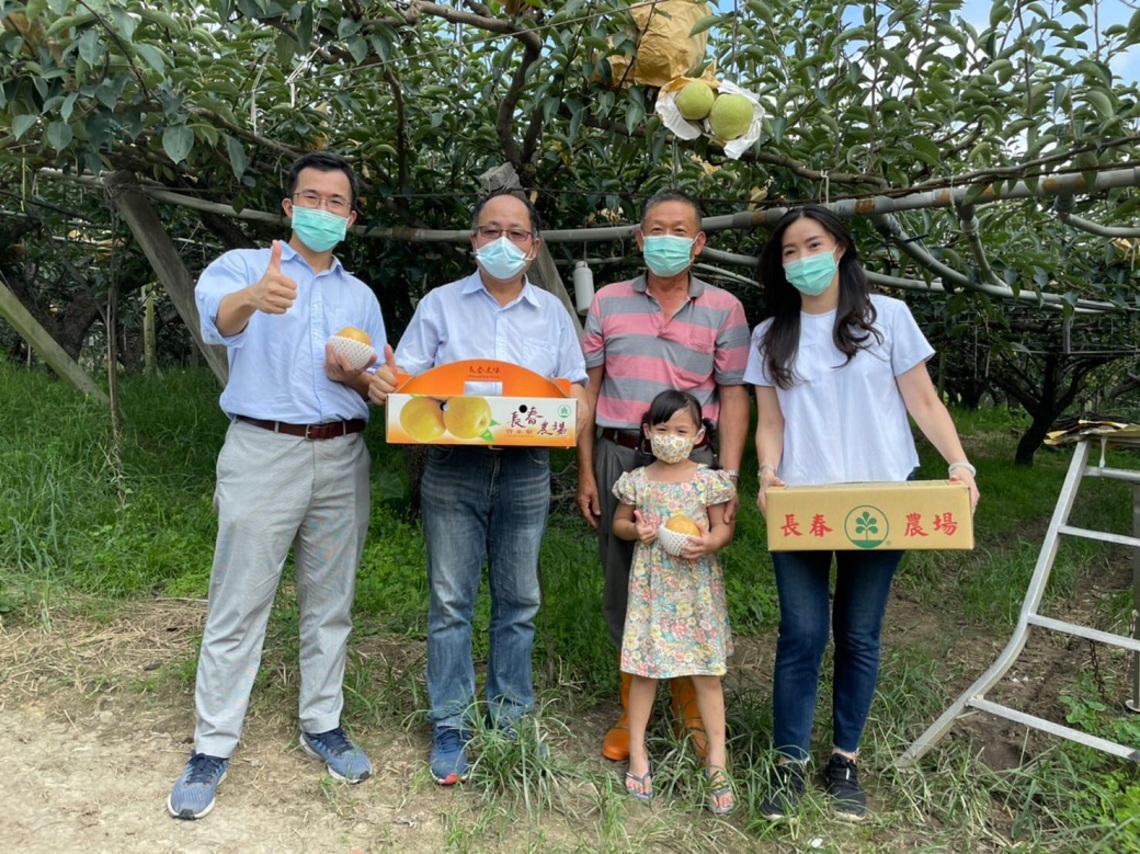 竹崎玉觀音高接梨鮮甜上市 「梨」不開清脆甜美的滋味/波新聞