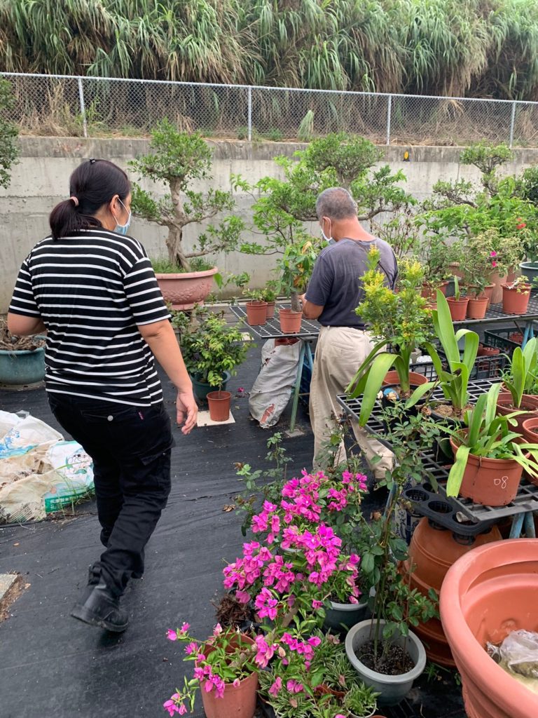 花圃中時常也會有蛇類入侵(圖片提供:新北市動物保護防疫處)