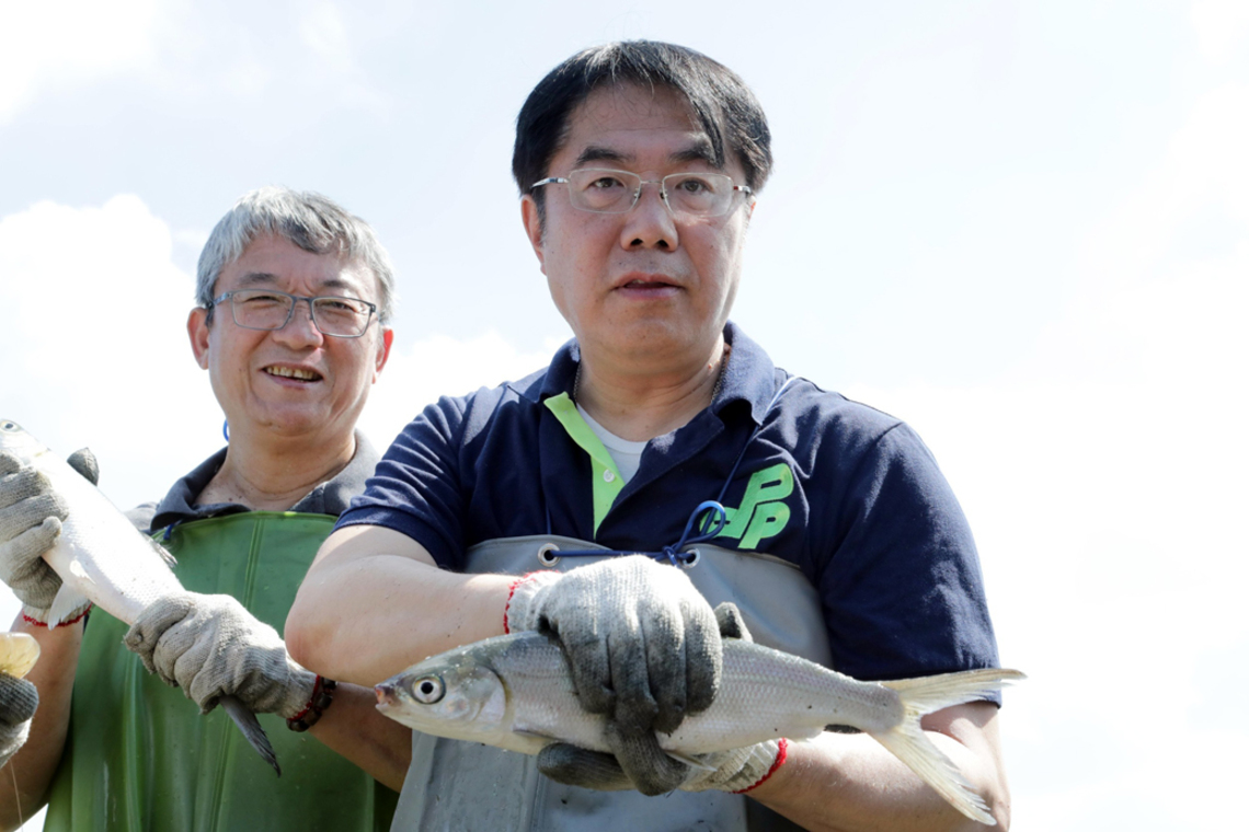臺南虱目魚 嚐鮮好時機/波新聞