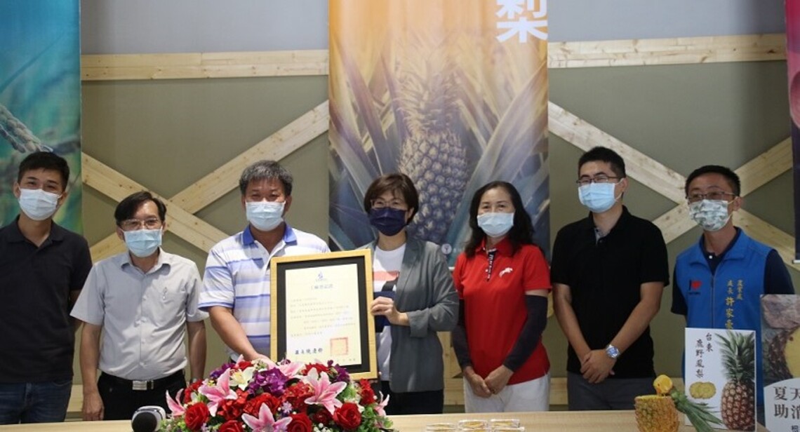 臺東第一座鳳梨加工中心9日正式取得工廠登記證    有利調節鳳梨供需 減少農民損失／波新聞