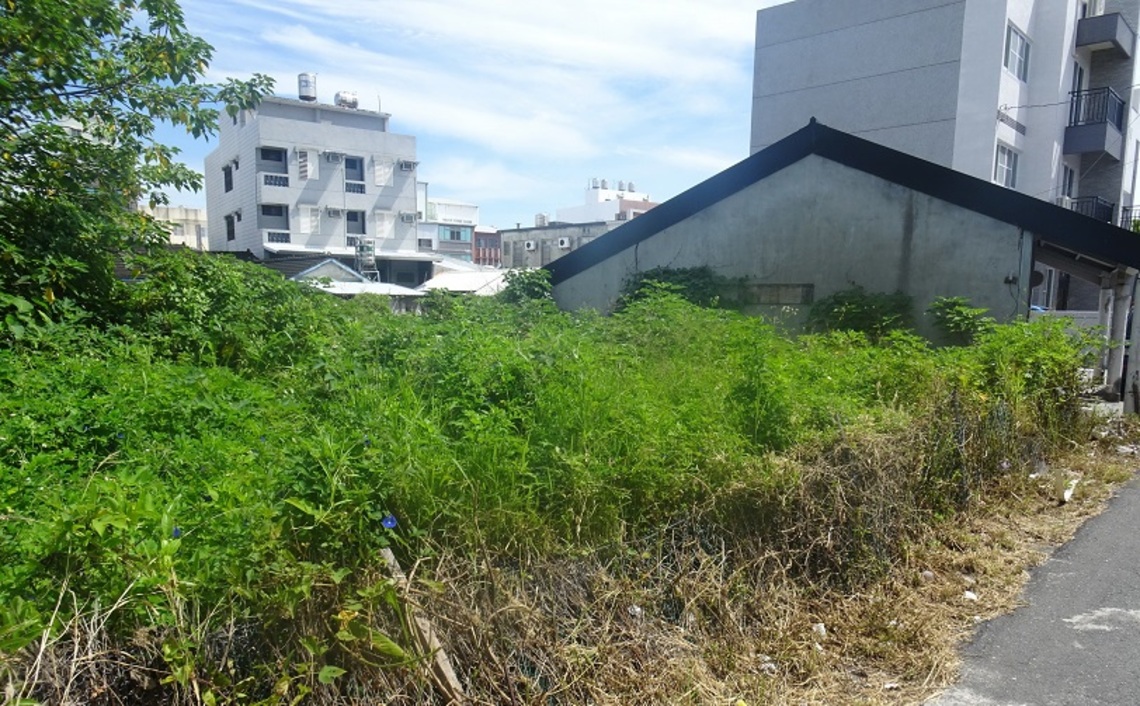 都市計畫住家區雜草超過60公分    臺東縣環保局：限期未改善處最高6000元罰鍰