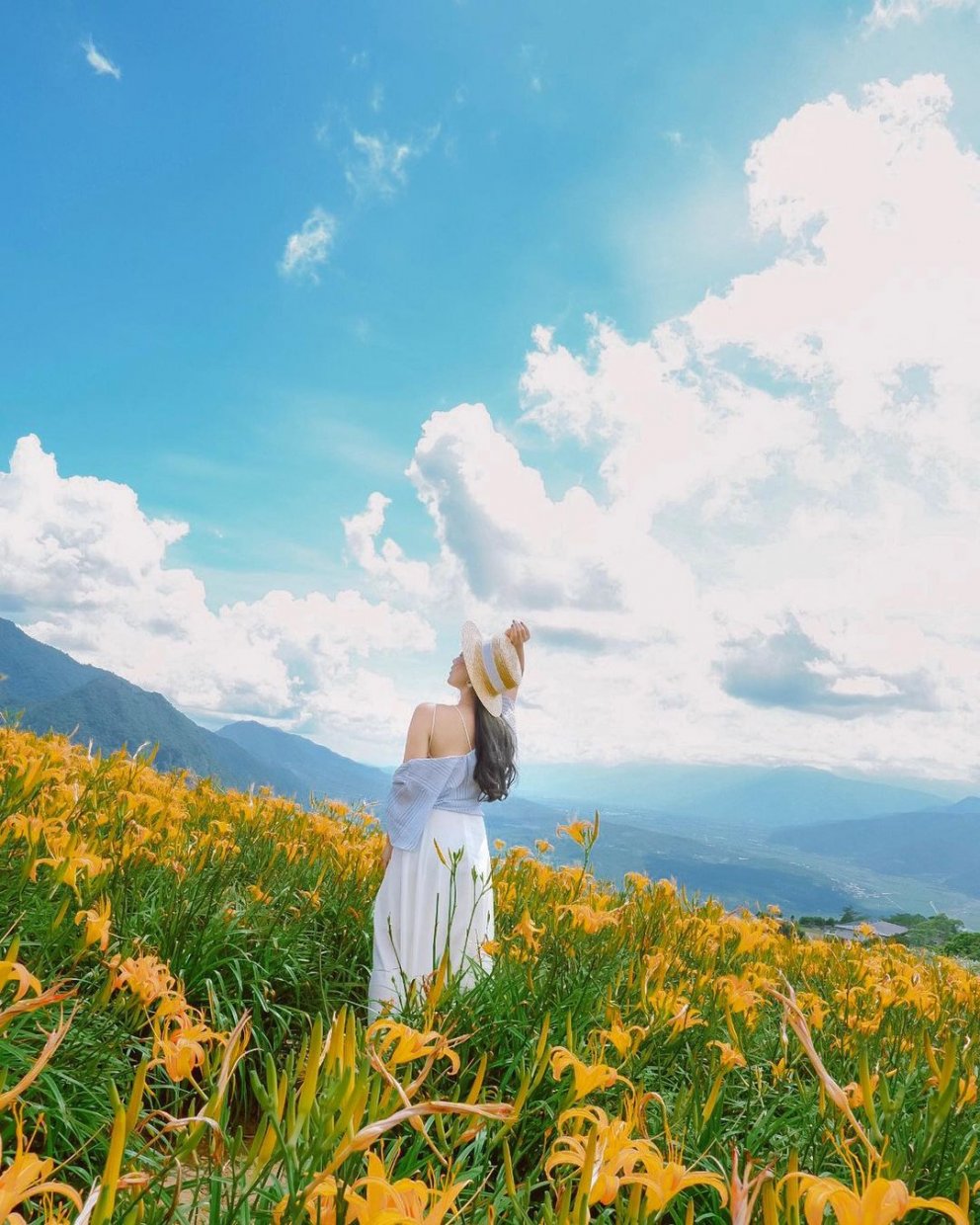 六十石山 @doris 0705(1)