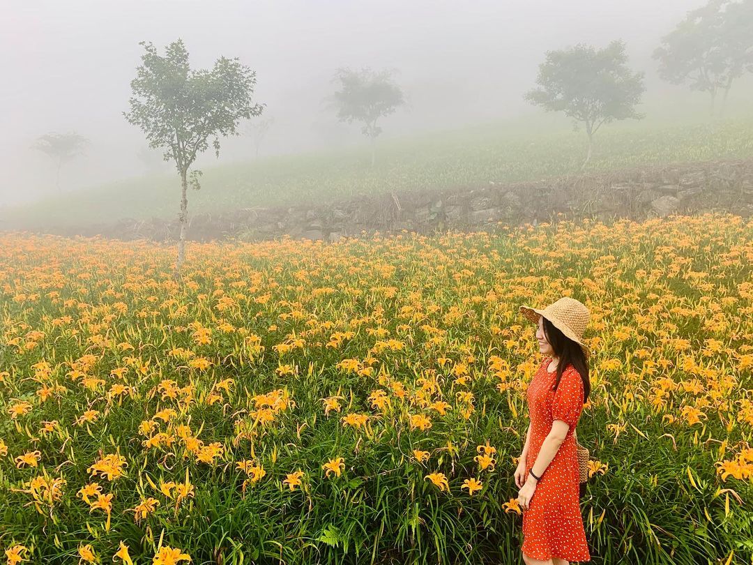 太麻里金針山 @clairewangwang