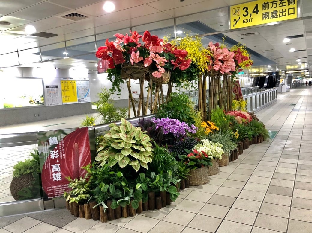 可能是花和室內的圖像