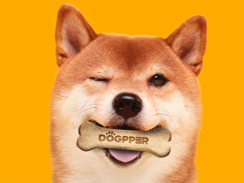 寵物不用流口水!阿根廷狗狗幣應用:主人吃華堡、Doge買狗零食