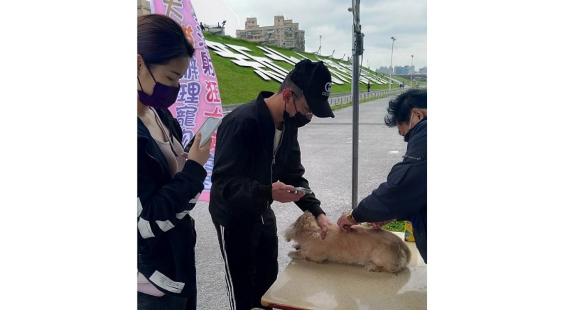 疫苗打了沒? 新北發送狂犬病疫苗注射通知書/波新聞