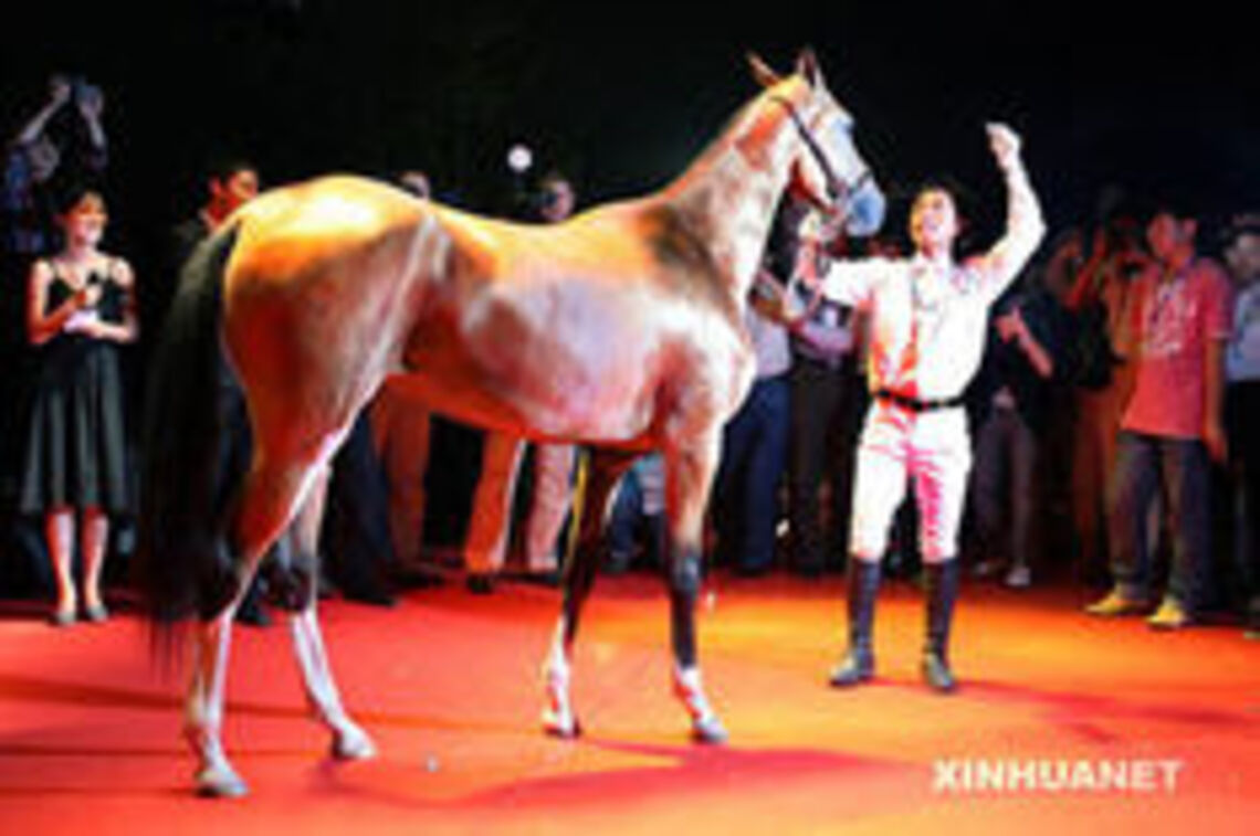 阿哈爾捷金,是俄羅斯語發音,其實就是汗血馬/波新聞