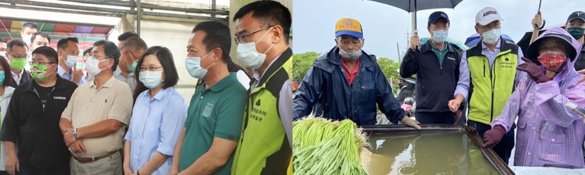 蔡英文總統視察嘉縣新港溫室蕹菜受損情形 /波新聞