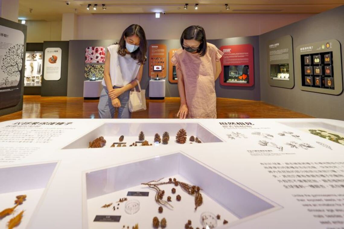 臺博館「孩籽」特展816線上開箱直播 逾百幅種子數位影像將開放創用CC授權/波新聞