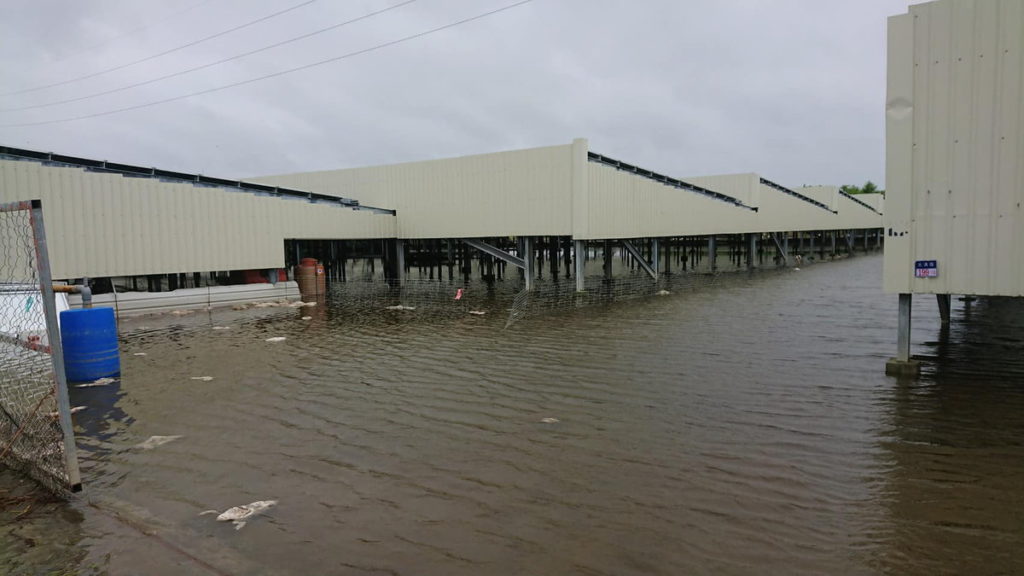 雲林縣畜牧養雞場淹水情勢