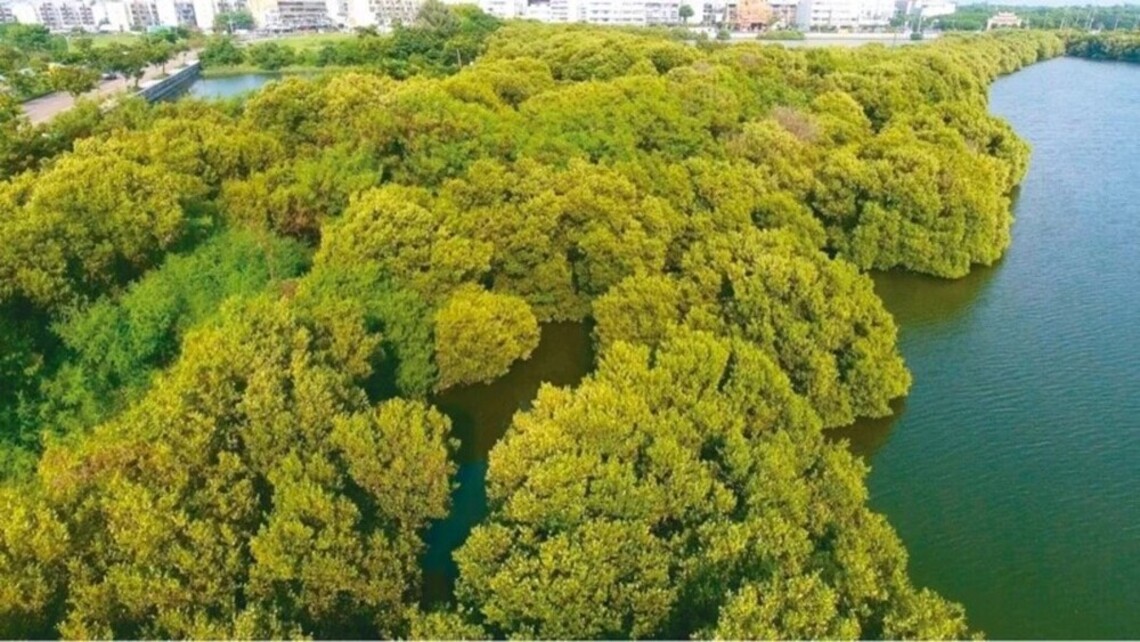 台南鯤鯓擬填土建光電 環保團體反對/波新聞