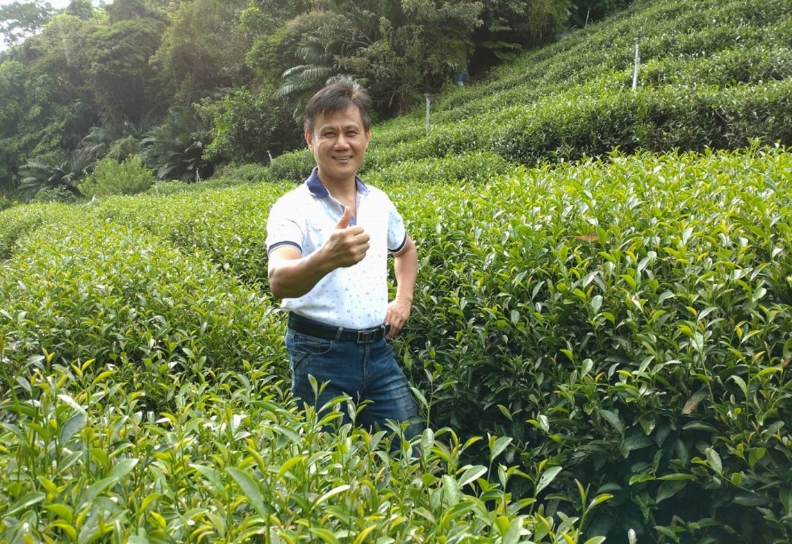 尋蜜堅持的味道 新北蜜香紅茶上市/波新聞
