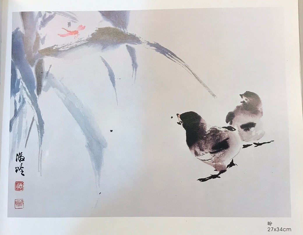 可能是鳥的圖像