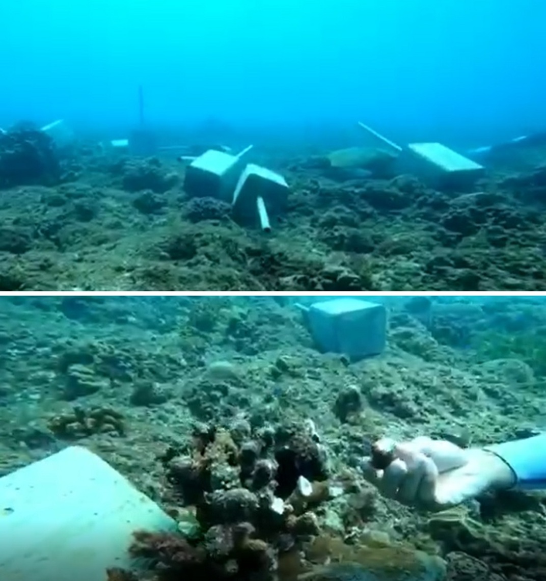 破壞小琉球珊瑚 海保署將依法移送法辦/波新聞