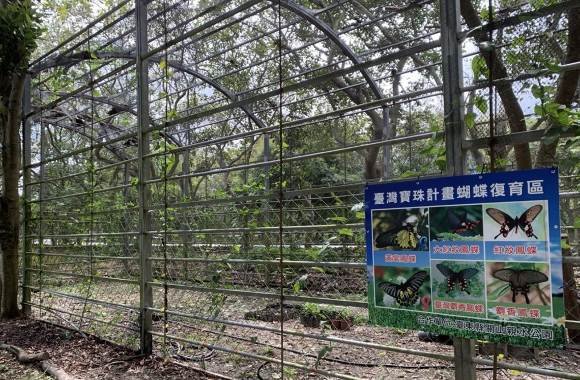 關山鎮親水公園 臺灣寶珠計畫蝴蝶復育區隆重掛牌/波新聞