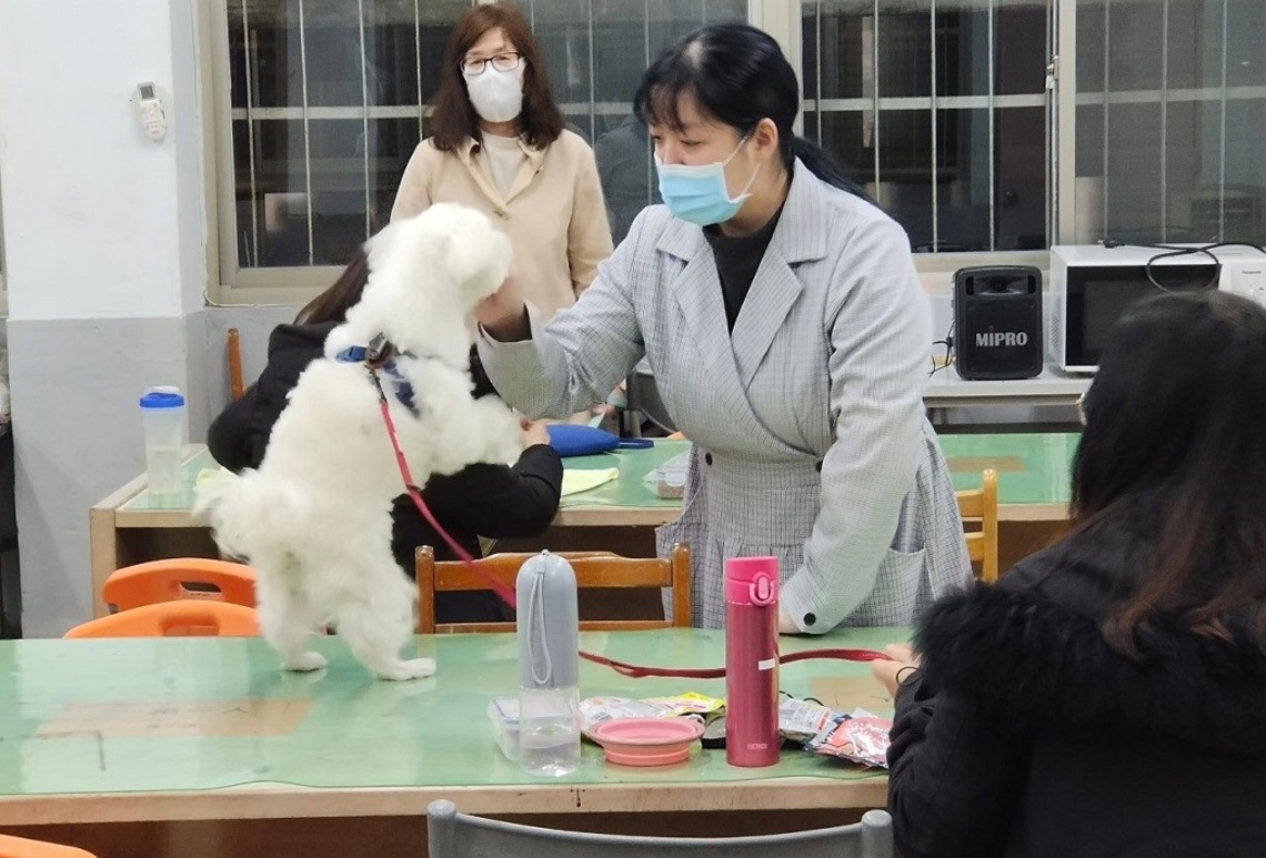 北市貓犬學校秋季班開課囉!   限量6門免費課程快報名／波新聞