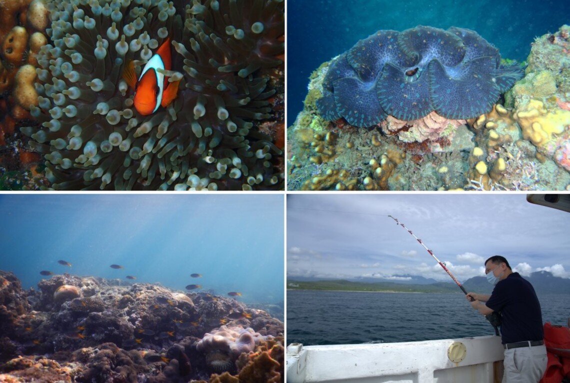東海岸生物多樣性的海灣~富山漁業資源保育區8/24重新開放 邀您一同悠遊碧海藍天/波新聞