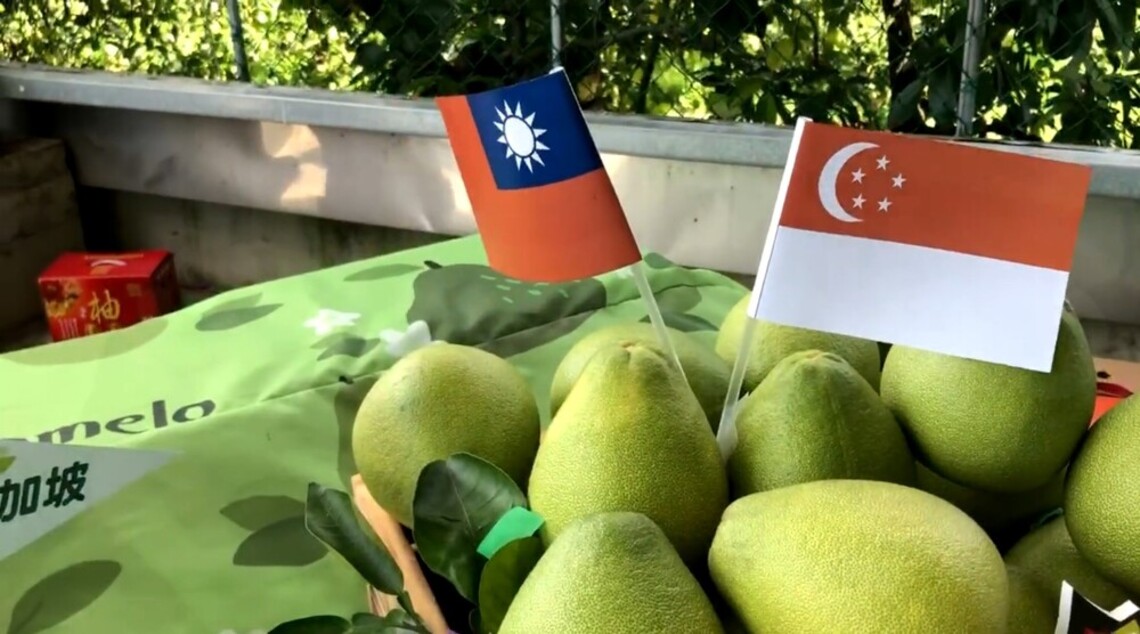 台南文旦外銷星滬/波新聞
